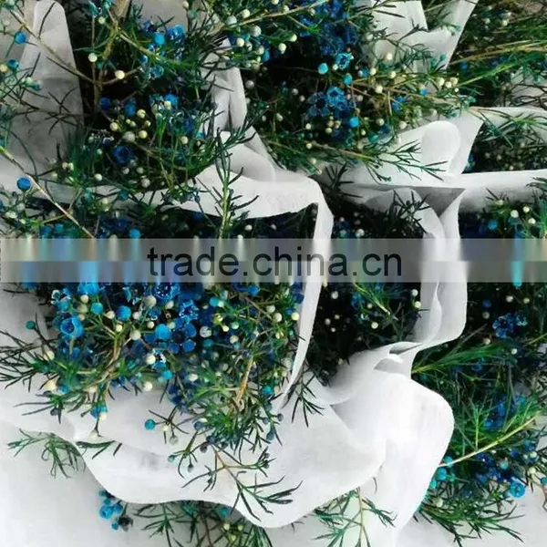 Colorful OEM Decorative Chimonanthus photo-3