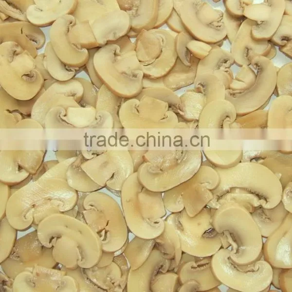 Mushroom in Brine in Drum photo-4