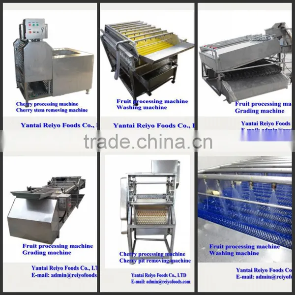 Cherry Seed Removing Machine / Cherry Pitting Machine photo-6