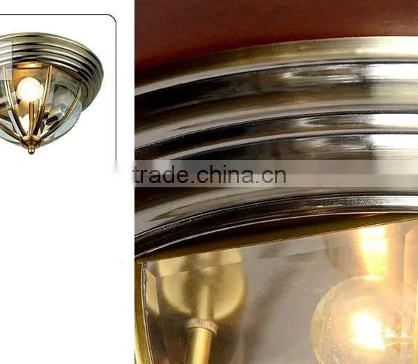Modern LED Ceiling Lights 220V/110V Living Room Ceiling Lamps photo-5
