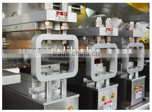 Automatic Blister Packaging Machine, Blister Packing Machine, DPP Blister Packing Machine photo-3