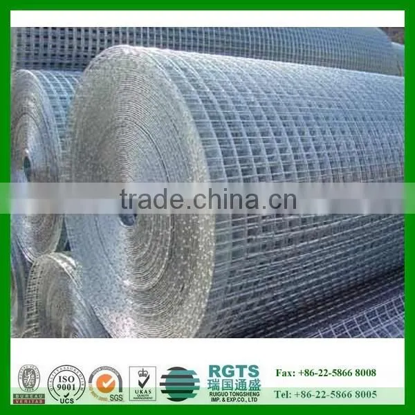 Welded Wire Mesh/ Galvanized Welded Wire Mesh/ PVC Coated Wire Mesh photo-3