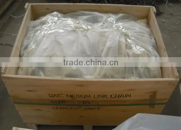 DIN5685A/C Link Chain photo-4