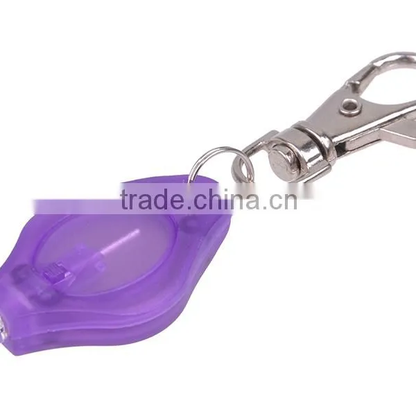 Cheap Wholesale Customized Promotion LED Flashing Keychain For Pet Losting photo-2