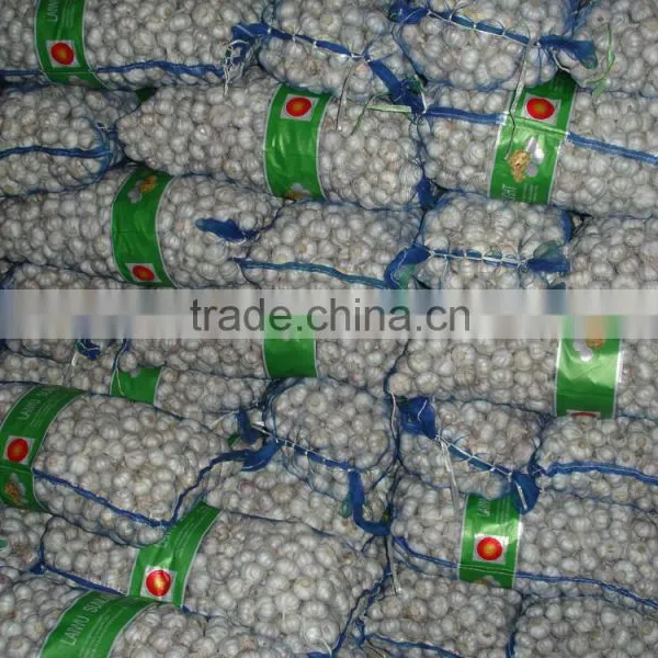 Chinese New White Garlic photo-3