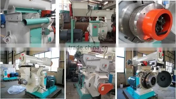 China Good Quality Wood Pellet Machine With New Design photo-2