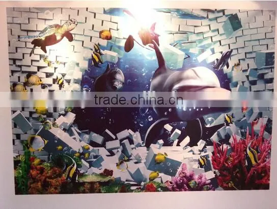Direct to Wall Inkjet Printer for Blackboard Wall Printing Machine photo-6