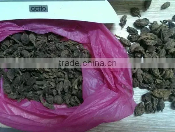 Spices and Herbs, New Crop Black Cardamom With Best Price photo-5