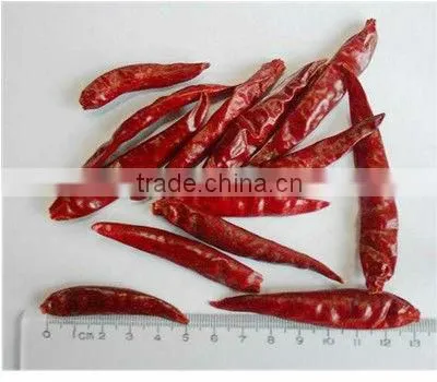 Dry Red Tianying Chili photo-2