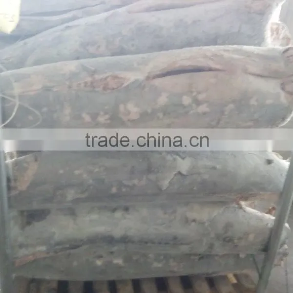 High Quality Seafrozen Swordfish Dwt for Sale photo-2