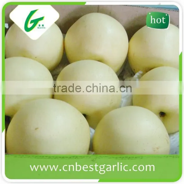 China Bulk Fresh Crown Pear for Sale photo-5