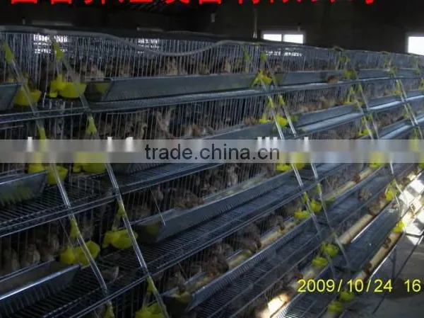 6 Tires 400 Automatic Quails Cage One Side/6 Tiers Two Sides 800 Quails Cages photo-4