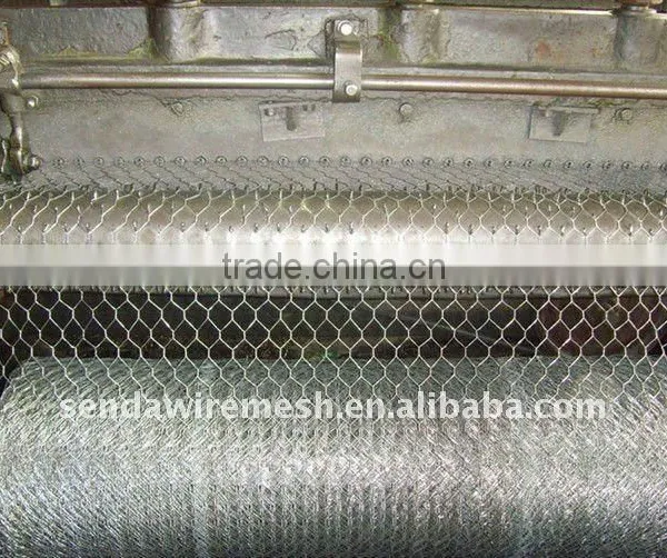 2016 Hot Sale /low Price and High Quality /hexagonal Wire Netting/chicken Mesh From Anping Factory photo-5