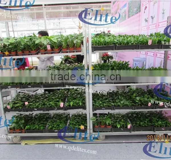 330 Glasshouse Tool Car photo-2