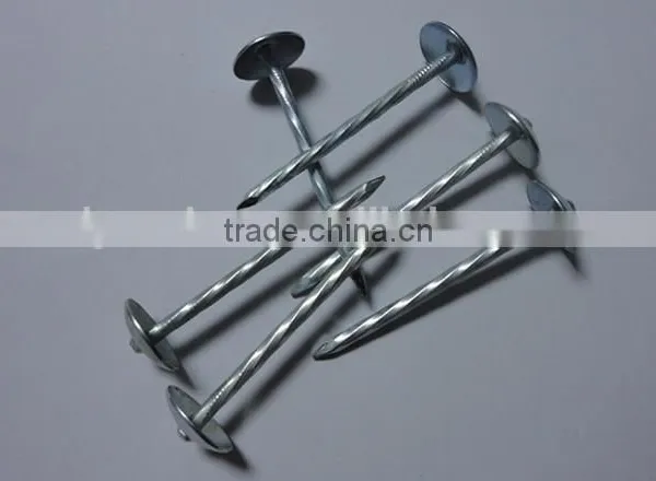 1.5"*14G Large Head Smooth Plain Shank Roofing Nail China Factory photo-2