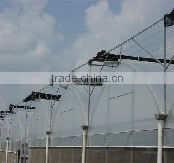Factory Price Commercial Greenhouse Plastic photo-6