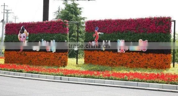 SOL 2015 Environment-friendly Mobile Landscape Vertical Green Wall photo-5