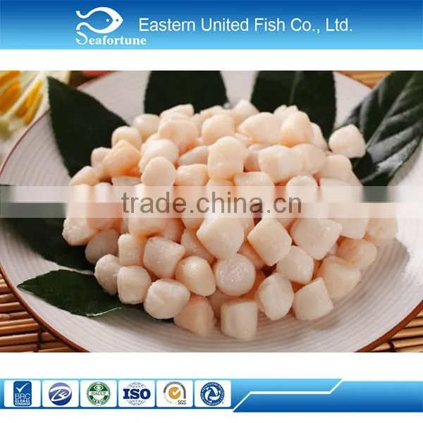 Seafood Export Frozen Scallops Meat