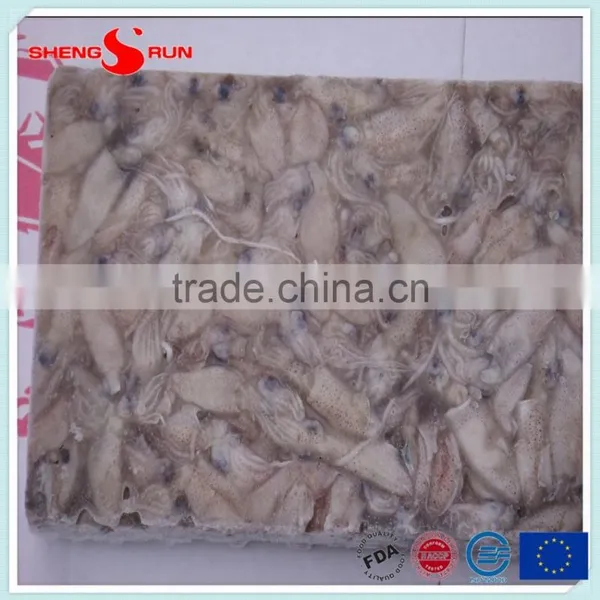 BQF Frozen Baby Loligo Squid photo-4