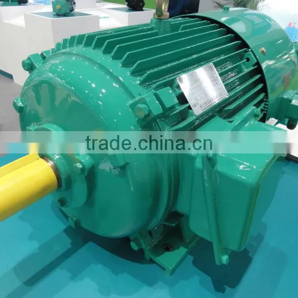 Cast Iron IE1 Three Phase Electric Motor photo-2