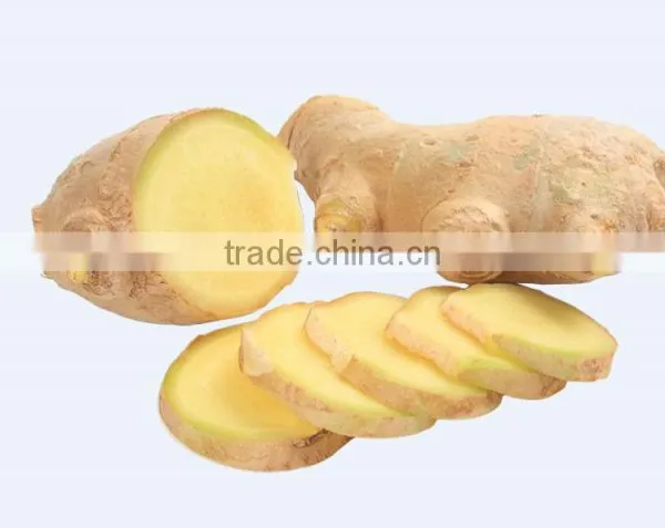 Ginger Tea With Honey Instant Granulated Flavour Herbal Ginger Tea 7g*20 Bags /13g*10 Bags /18g*10 Bags photo-6