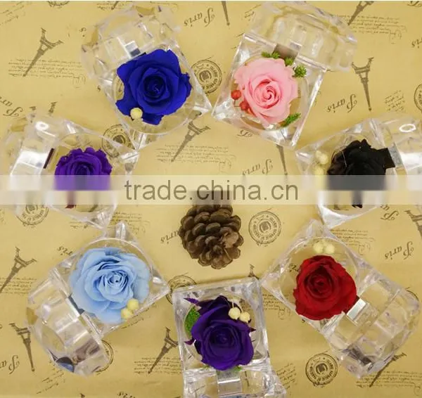 Natural Rose Preserved Flower for Thanksgiving and Christmas Gift photo-3