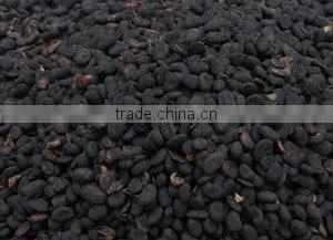 Babchi Seed photo-2