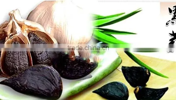 2016New China Garlic for Sale With Good Quality--HC Company photo-3