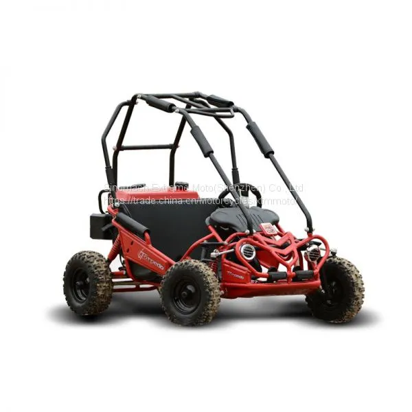 Hammerhead Mini 50 детский внедорожный багги из Китая