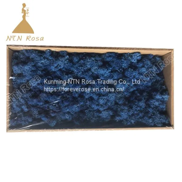 Preserved Forest Moss for Hotel or Office Decoration photo-4