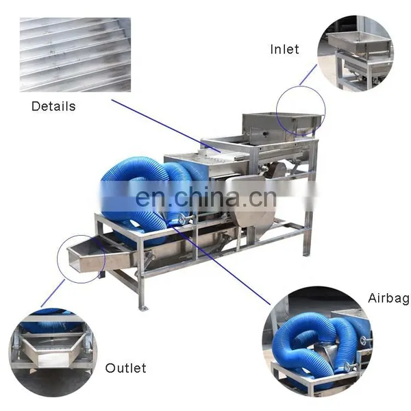 Peanut Chopper Machine Broad Bean Cutting Machine Almond Cutter Machine photo-6