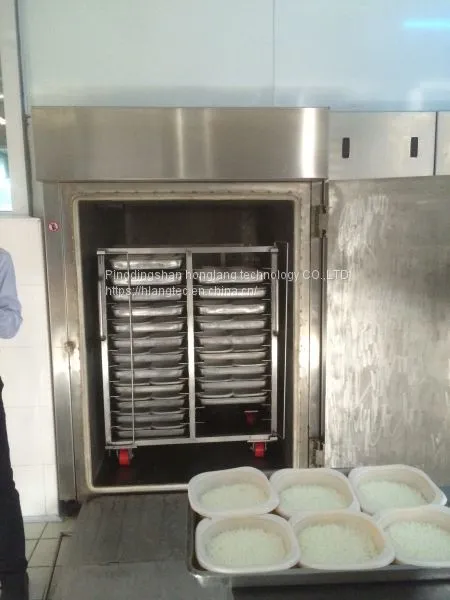Vacuum Cooling Machine for Bake Food Bread Rice HLF-300KG photo-4