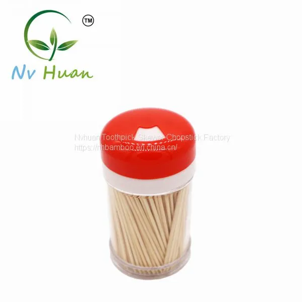 Bamboo Toothpicks Holder Disposable Toothpick Bottle