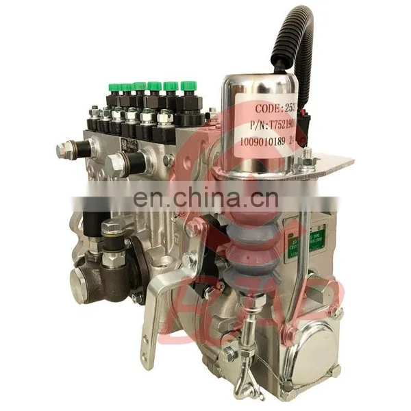 BYC NEW Injection Pump T73208225 Engine 1006TG02 Injection Pump CPES6PB110D120RS3162 Pump photo-4