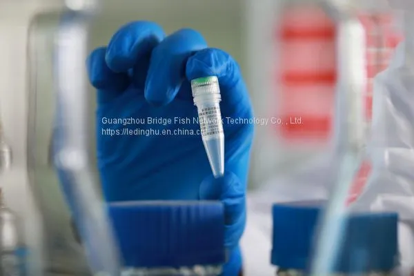 Novel Coronavirus (COVID-19) Nucleic Acid Detection Kit photo-4
