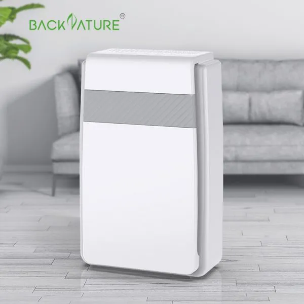 Customizable Activated Carbon Hepa Air Filter Anion Bedroom Use Air Purifier for Air Pollution photo-2