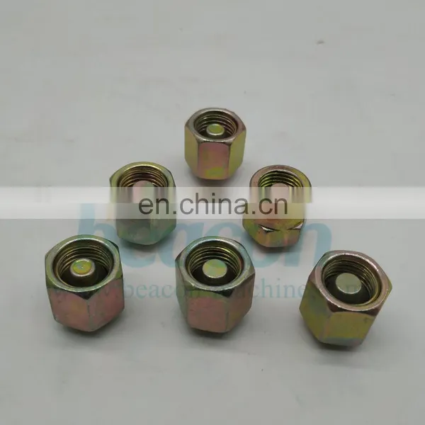 Fuel Rail Plug Common Rail Plug for Rail Pipe Diesel Pump Test Bench Spare Parts Accessories photo-5