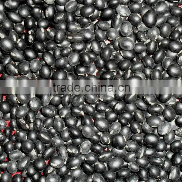 Organic Black Bean (green,yellow Kernel) photo-3