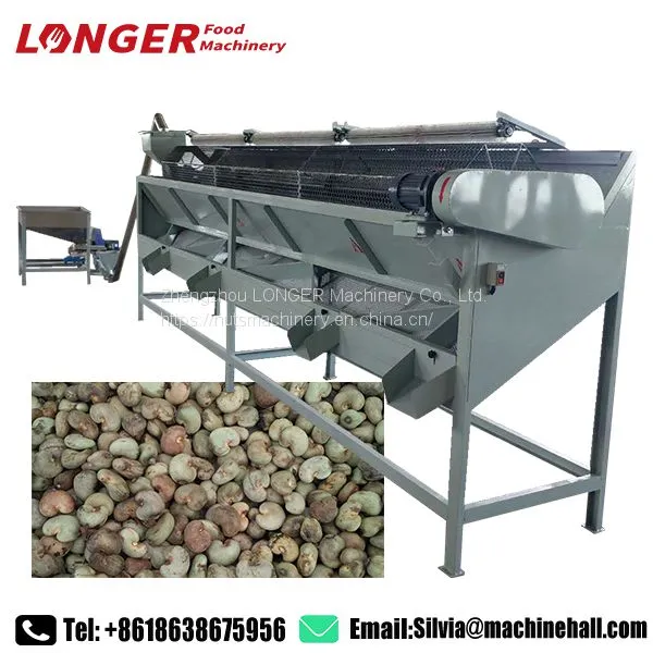 Cashew Nut Size Sorting Machine Cashew Sizing Machine