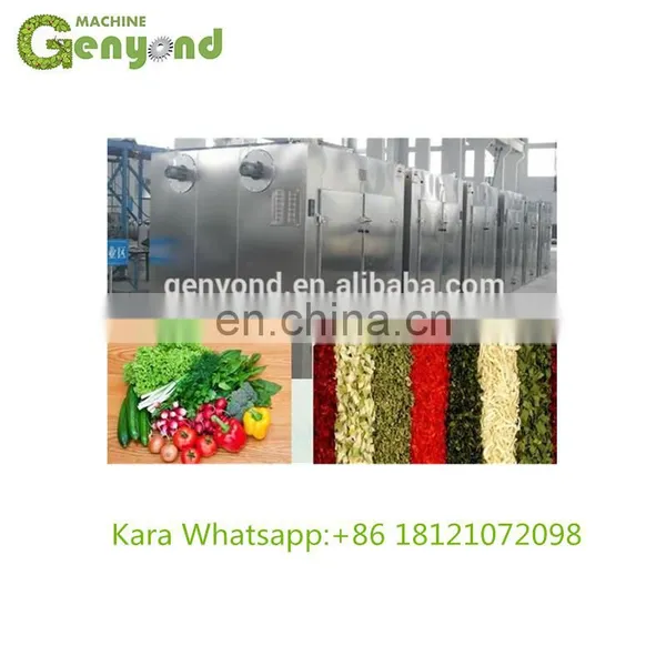 Tray Type Drying Equipment Fish/Meat Drying Oven/Equipment photo-4