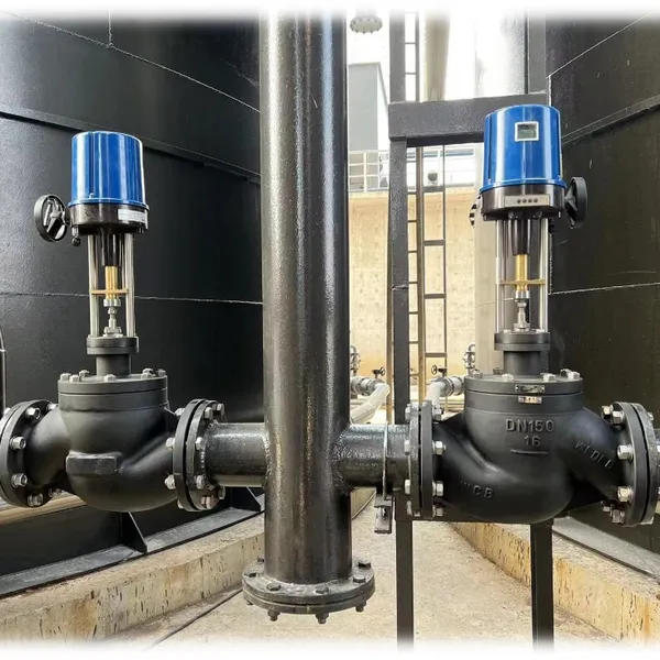 Cast Iron Globe Type Regulating Valve for Steam Flow Control