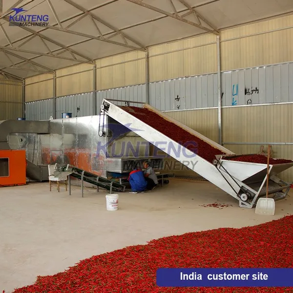 Vegetable Dryer Tomato Drying Equipment Passion Fruit Dryer Fruit Drying Production Line EPC photo-3