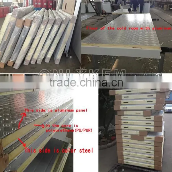 Cold Room Panel With Cam Lock, Cold Room Panel/ Fresh Cold Store Suppliers photo-5