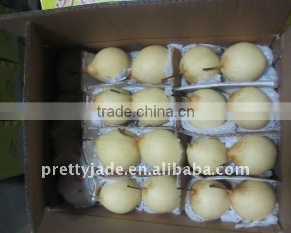Chinese Fresh ya Pear