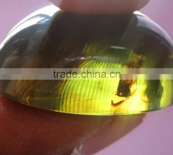 Natural Amber With Insects Inside
