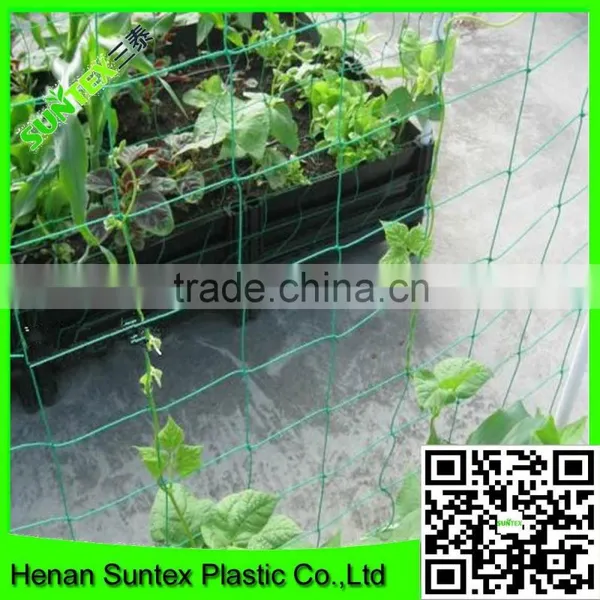 Strong Durable Trellis Netting Polyester Plant Support Net Mesh Grow Room Net photo-3