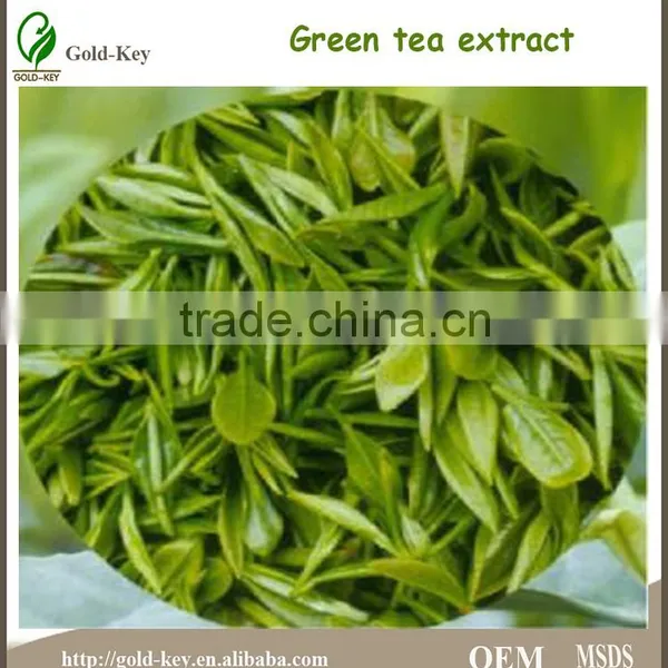 Pure Natural 99% L-Theanine photo-3