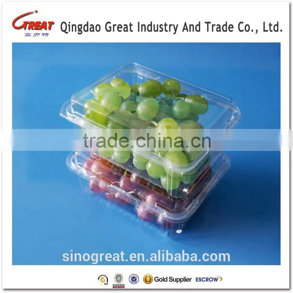 Good Quality Disposible Plastic Food PET Tray/strawberry/blueberry Clamshell Tray photo-2