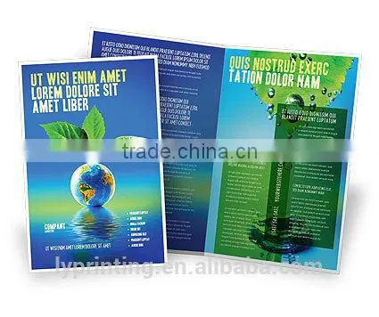Coated Paper Flyer Printing Cheap Brochure Printing China photo-5