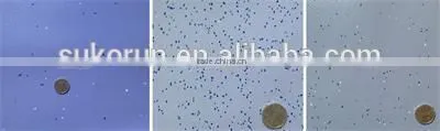 Plastic Sheets for Flooring
